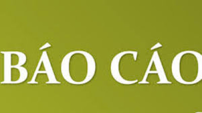 BÁO CÁO THƯỜNG NIÊN NĂM: 2024