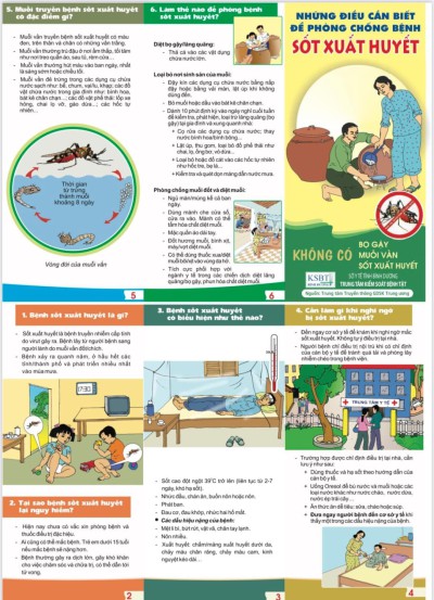 Tuyên truyền phòng, chống dịch bệnh sốt xuất huyết, tay chân miệng