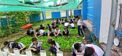 CHĂM SÓC VƯỜN RAU TRƯỜNG EM- NIỀM VUI HỌC TẬP TỪ NHỮNG CÔNG VIỆC NHỎ