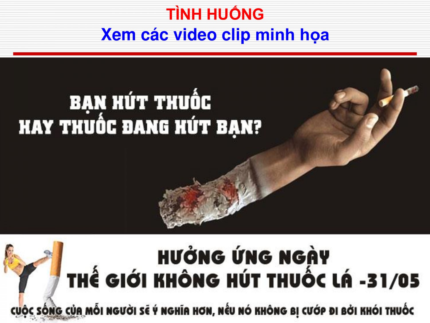 4412bdcc0c6007c9080993d232b8b7b5 2