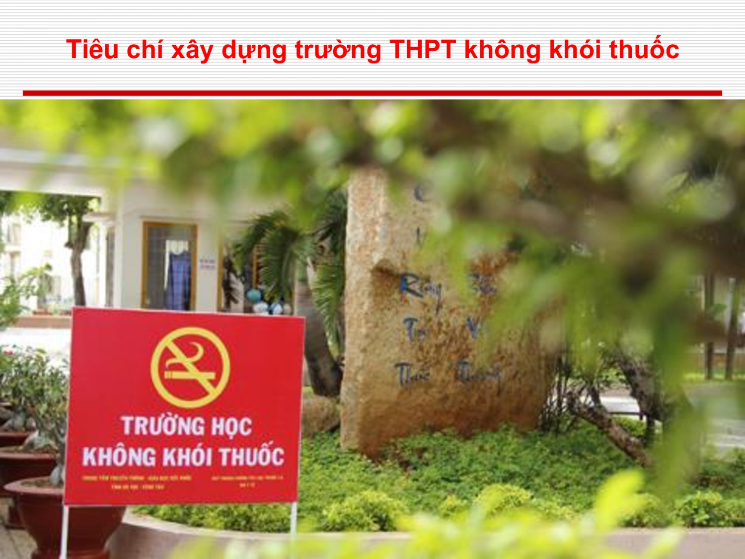 4412bdcc0c6007c9080993d232b8b7b5 20