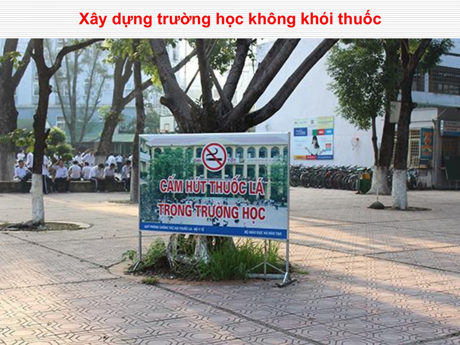 4412bdcc0c6007c9080993d232b8b7b5 37