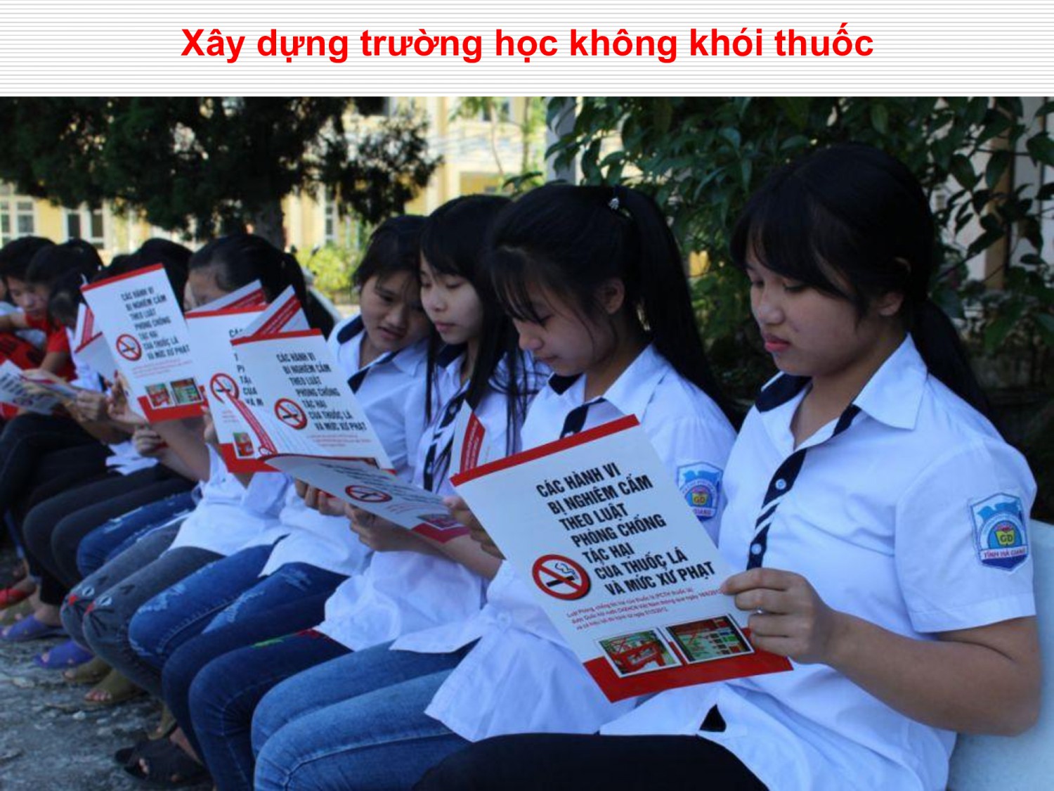 4412bdcc0c6007c9080993d232b8b7b5 40