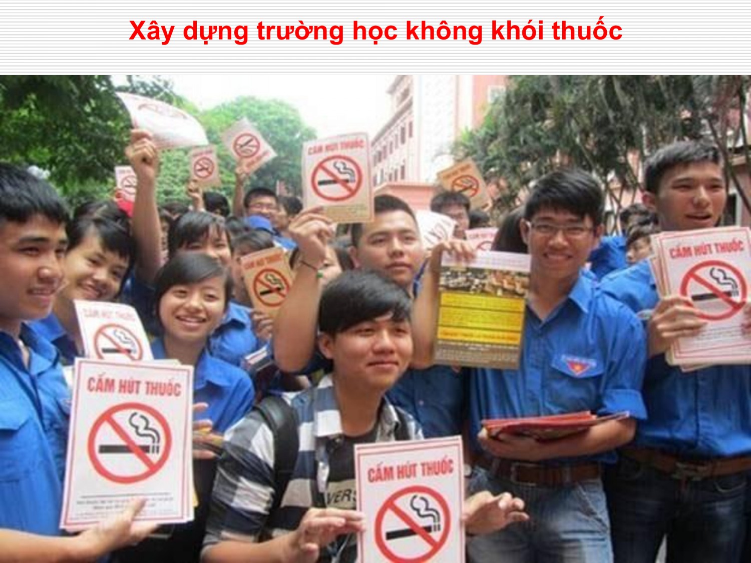 4412bdcc0c6007c9080993d232b8b7b5 43