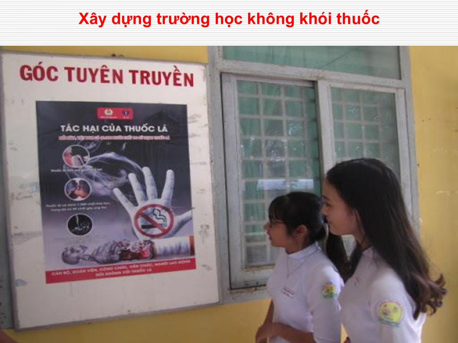 4412bdcc0c6007c9080993d232b8b7b5 44