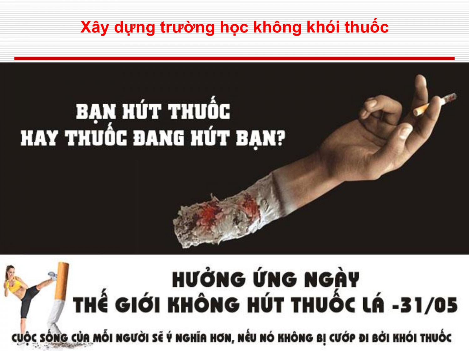 4412bdcc0c6007c9080993d232b8b7b5 45