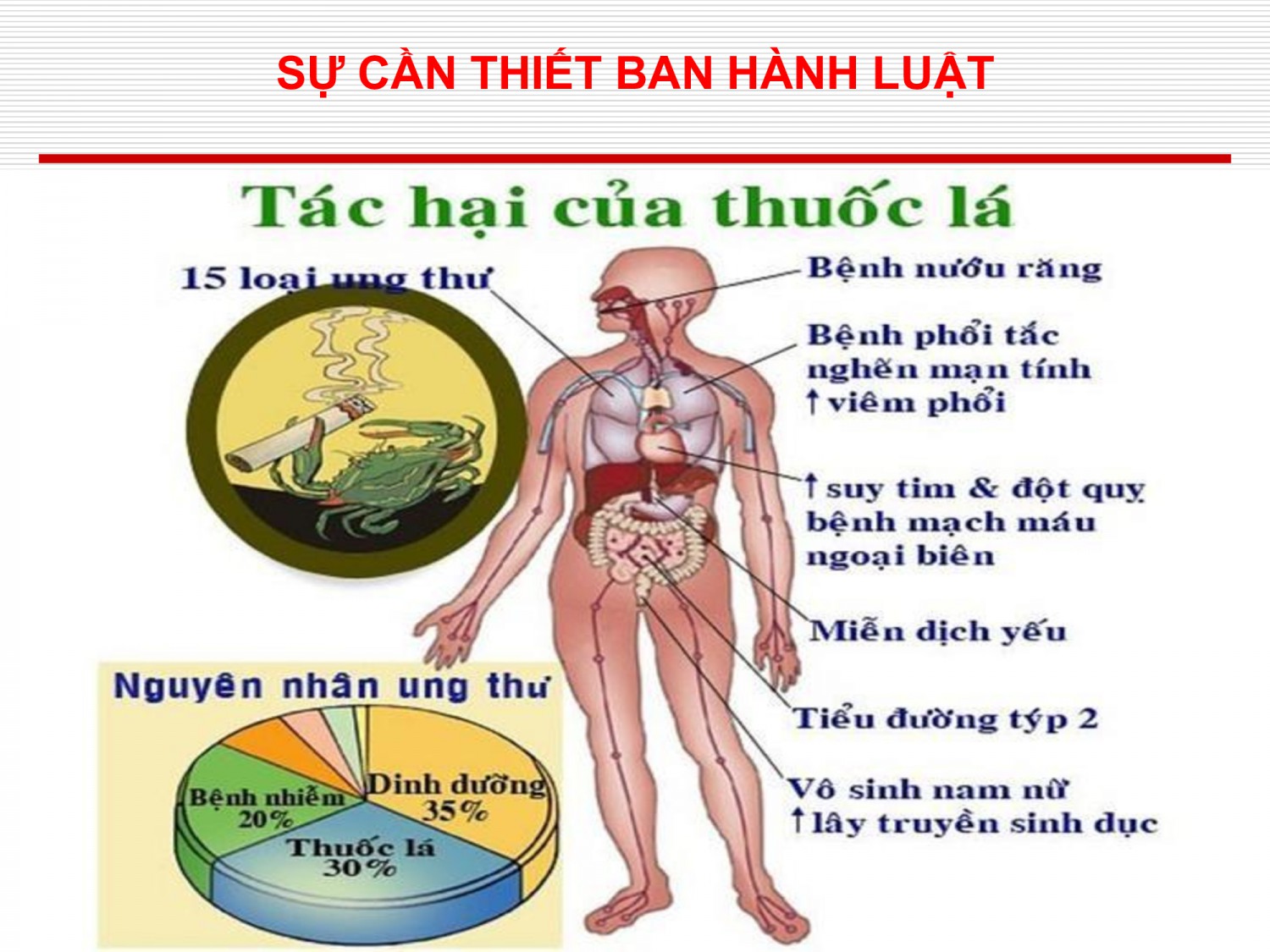 4412bdcc0c6007c9080993d232b8b7b5 6
